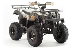 Квадроцикл MOTOLAND 200 All Road (2021 Г.), фото 2