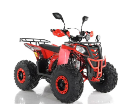 Квадроцикл RAPTOR R8, фото 2