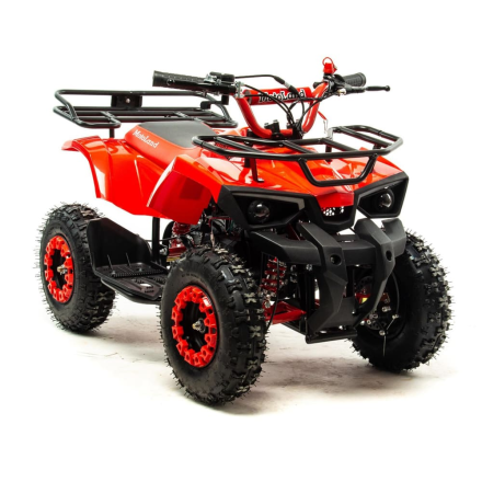 Квадроцикл MOTOLAND 50 Scorpion (2021 Г.), фото 2