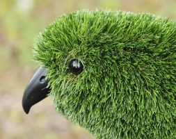 Топиари орел - газон Deluxe, фото 5