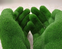 Топиари композиция Ладони - газон Eco