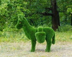 Топиари Ослик с кашпо газон Eco, фото 13