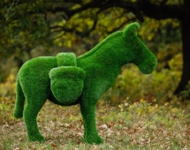 Топиари Ослик с кашпо газон Eco