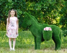 Топиари Ослик с кашпо газон Eco