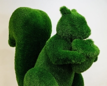 Топиари белочка с орехом Джеси - газон Eco Топиари белочка с орехом Джеси - газон Eco