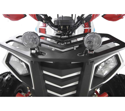 Квадроцикл RAPTOR Madman 200, фото 3