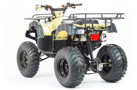 Квадроцикл MOTOLAND 250 Adventure (2021 Г.), фото 6