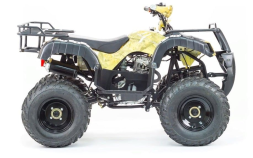 Квадроцикл MOTOLAND 250 Adventure (2021 Г.), фото 4