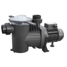 Насос с префильтром Saci Pumps Winner 300T