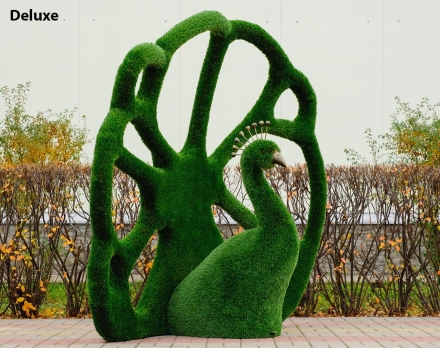 Топиари павлин Королевский - газон Eco, фото 6