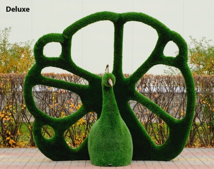 Топиари павлин Королевский - газон Eco, фото 5