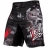 Шорты Venum venshorts0277