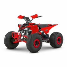 Квадроцикл YACOTA E-Sport 3000W