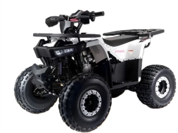 Квадроцикл MOTOLAND Storm A 125 Квадроцикл MOTOLAND Storm A 125