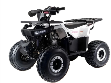 Квадроцикл MOTOLAND Storm A 125, фото 1