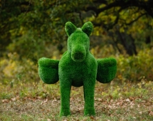 Топиари Ослик с кашпо газон Premium