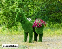 Топиари Ослик с кашпо газон Premium