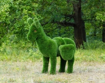 Топиари Ослик с кашпо газон Premium