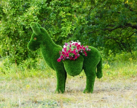 Топиари Ослик с кашпо газон Premium, фото 12