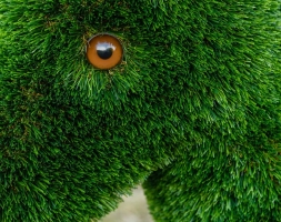 Топиари Ослик с кашпо газон Premium, фото 14