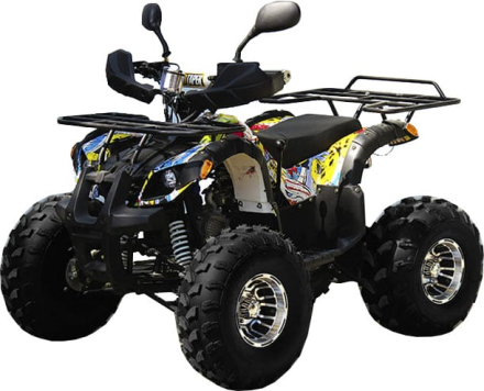Квадроцикл GRIZZLY Pro 125cc, фото 1