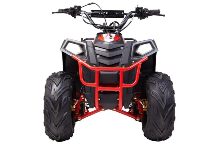 Квадроцикл RAPTOR Dux Lux 8, фото 2