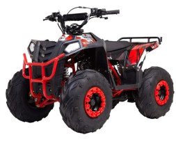 Квадроцикл RAPTOR Dux Lux 8, фото 1