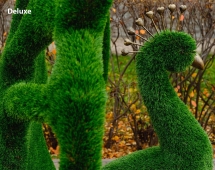 Топиари павлин Королевский - газон Deluxe Топиари павлин Королевский - газон Deluxe