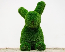 Топиари заяц Сали - газон Deluxe Топиари заяц Сали - газон Deluxe