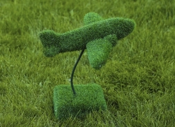 Топиари Самолет - газон Eco, фото 2