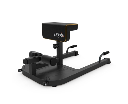 Тренажер для приседаний/гиперэкстензия DFC LEXPA D282, фото 2