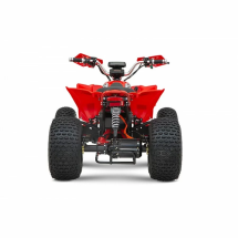 Квадроцикл YACOTA E-Sport 3000W LD