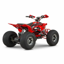 Квадроцикл YACOTA E-Sport 3000W LD