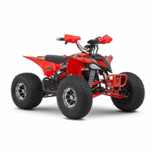 Квадроцикл YACOTA E-Sport 3000W LD