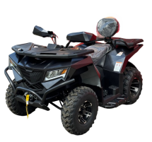 Квадроцикл APOLLO CyberRoamer 250 Max (2025) Квадроцикл APOLLO CyberRoamer 250 Max (2025)