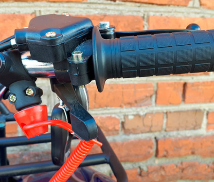 Квадроцикл MOWGLI X16, фото 8