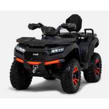 Квадроцикл TGB Blade 1000 LTX EPS Premium Квадроцикл TGB Blade 1000 LTX EPS Premium