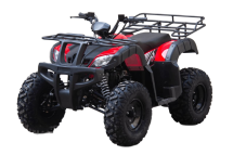 Квадроцикл UNIVERSAL Avenger JR 150 Квадроцикл UNIVERSAL Avenger JR 150