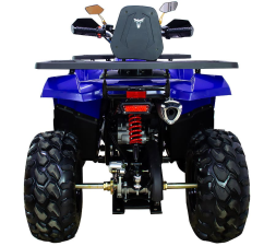 Квадроцикл AVANTIS Hunter 200 New Premium (2020), фото 6