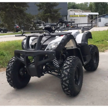 Квадроцикл YACOTA SELA 200