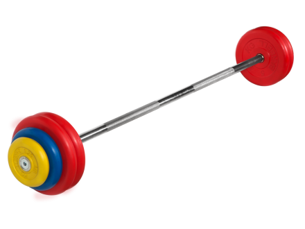 Штанга неразборная &quot;Barbell&quot; с цветными дисками d 25 мм, 32,5 кг, фото 1
