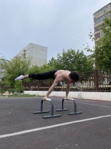 Паралетсы классические серый