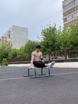 Паралетсы классические серый