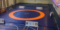 Ковёр борцовский 8х8х0,05 м, эквивалентно пл.160 кг/м3 (ППЭ/НПЭ, трёхцветный) СТП-86, фото 5