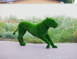 Топиари &quot;Львица&quot;