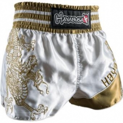 Шорты Hayabusa haytshorts05, фото 1