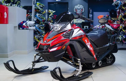 Снегоход ATAKI WD 300, фото 5