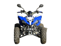 Квадроцикл YAMAHA YFM250R - replica