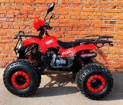 Квадроцикл MOWGLI Bold 8+, фото 2