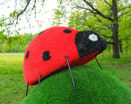 Топиари божья коровка Бонита - газон Eco, фото 1